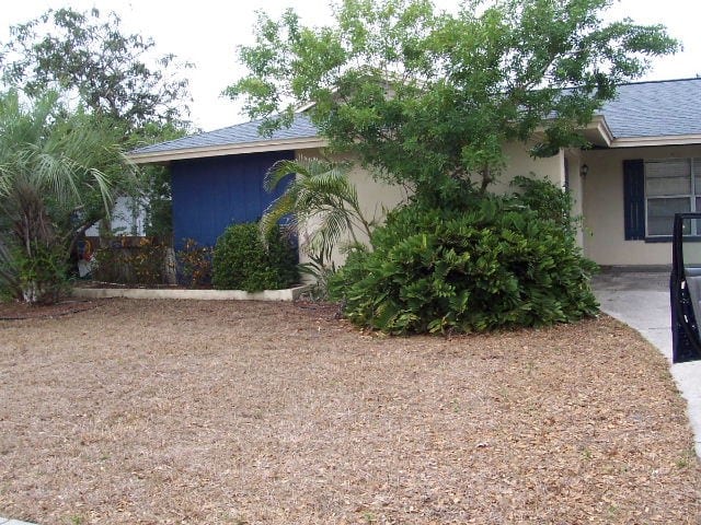 Before: a wild, unlandscaped front yard